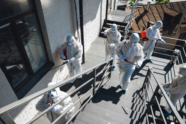 Richland, GA Mold Removal Company