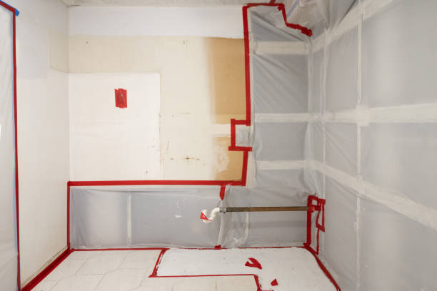 Best Water Damage & Mold Remediation  in Richland, GA