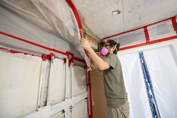 Mold Remediation for Vacation Homes in Richland, GA