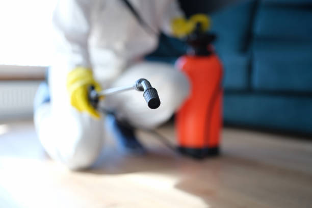 Best Biohazard Mold Removal  in Richland, GA