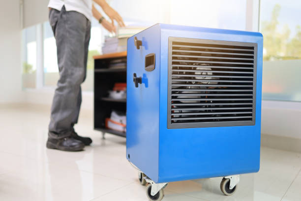 Best Air Quality Testing for Mold Spores  in Richland, GA